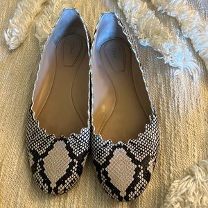 Chloe Black and White Snakeskin Flats
